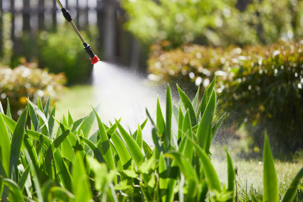 24/7 Emergency Mosquito Control experts in Sunflower, MS